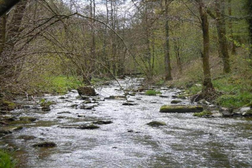 Chalet de la Vallée - foto 32