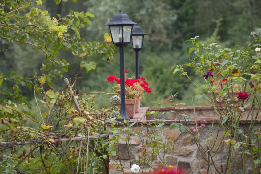 Apartment Rosa Canina (Wilde Rose) - foto 17