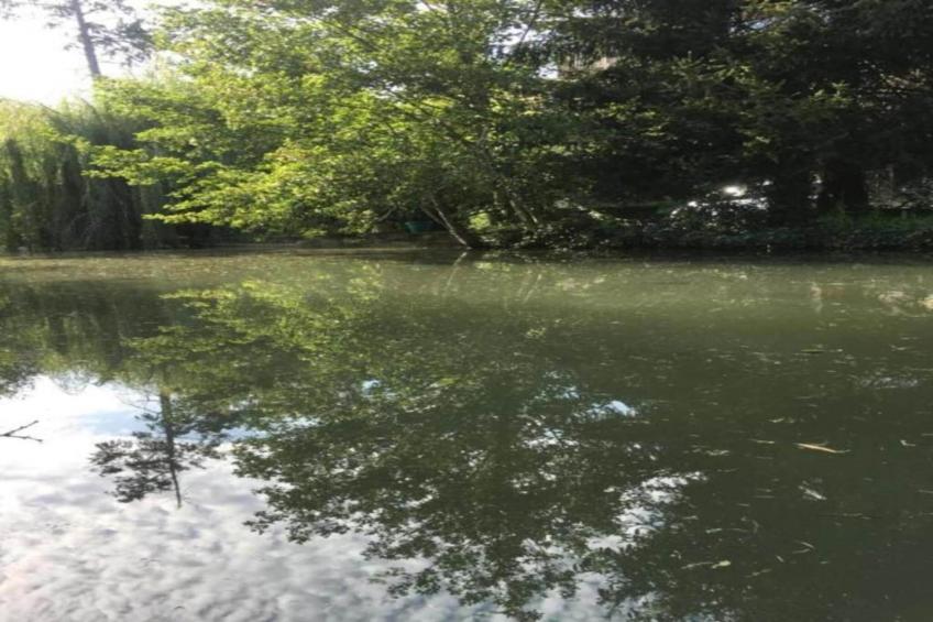 Maison de vacances - VILLEFRANCHE-DU-PERIGORD - foto 30