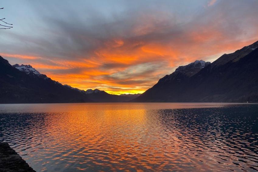 Family Apartment - foto 29