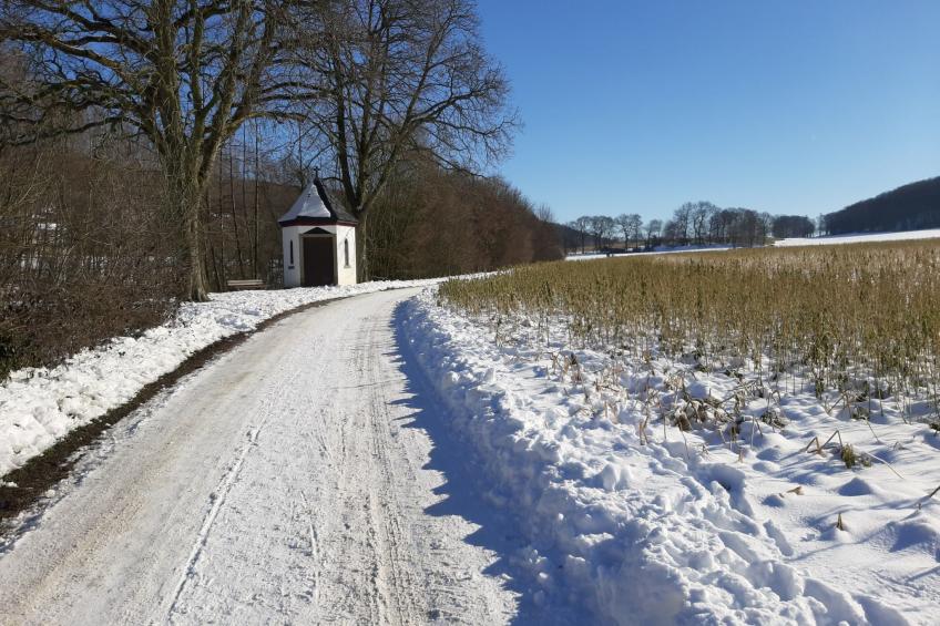 Schönes Ferienhaus in Brochterbeck mit Garten - foto 22