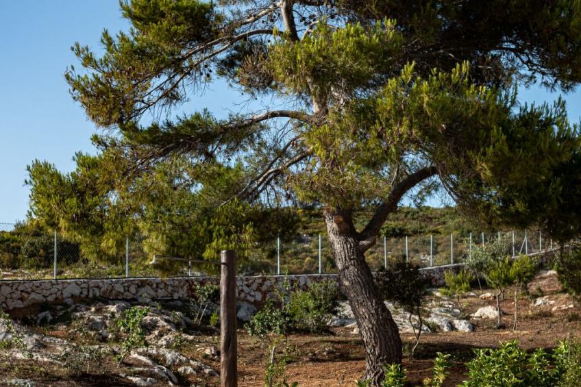 Terra Lucis Berg-Residenzen - Anima Villa - foto 3