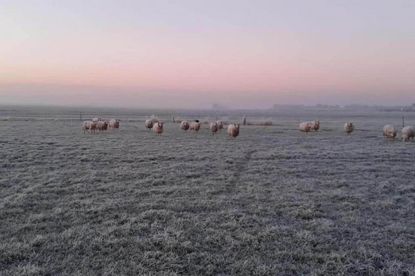 Recreatiepark Idskenhuizen 11 - foto 29