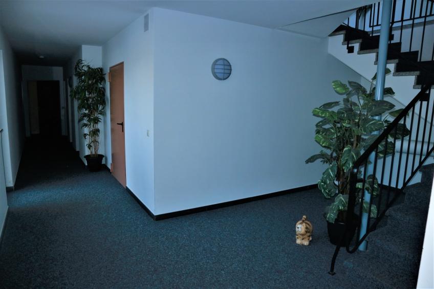 Flora - foto 27