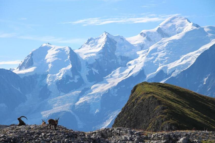 Les Portes du Grand Massif - foto 39