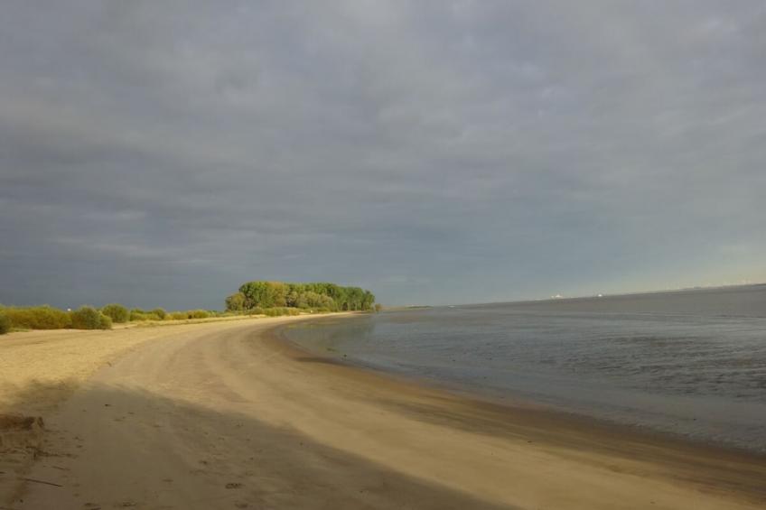 297232 - foto 18