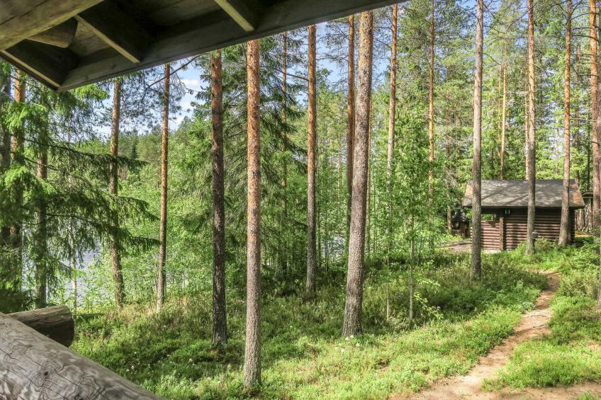 Välikosken karpalo - foto 44
