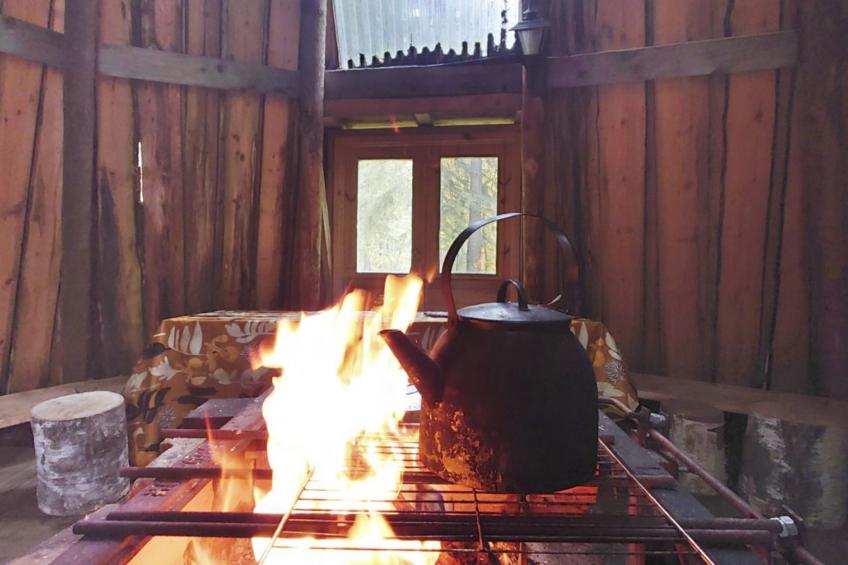 Niemenkärki, vaikon loma ja lohi - foto 3