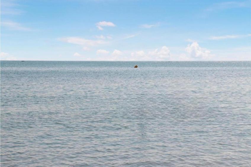 Casa Palmera - foto 34