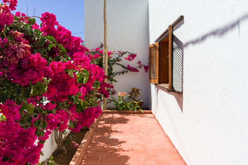 Agaete Pupe Home by Canariasgetaway - foto 64