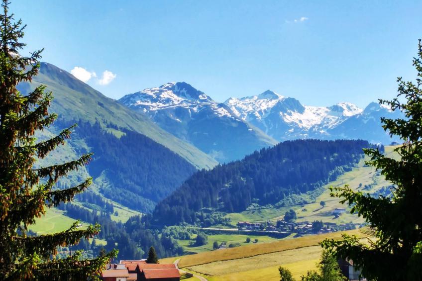 Chalet Dargun Bünter, (Camischolas/Sedrun), 221./222./224./.01+.02+.03 - foto 23