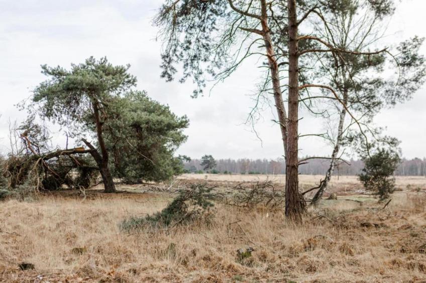 Bospark 't Wolfsven 15 - foto 16