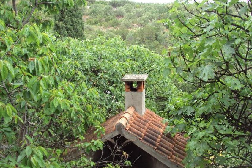 Schönes Apartment in Zaglav mit Außenkamin - foto 52