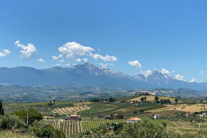 Mike's Dinghy House - foto 43