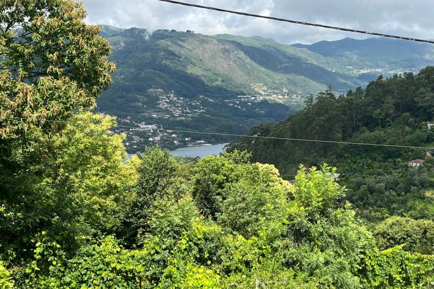 Casa de Casarelhos - foto 9