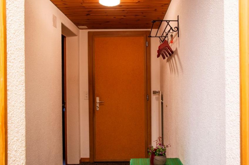 HasliRent, Mike, (Hasliberg Reuti), - foto 6