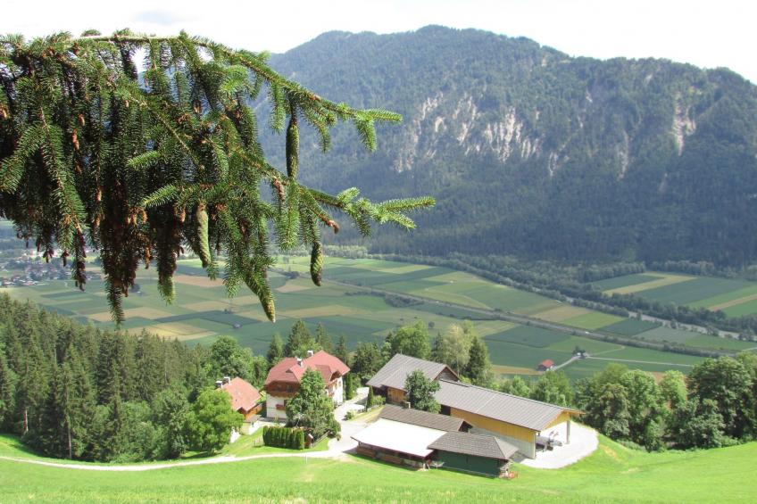 Waldpension Ranner - foto 2