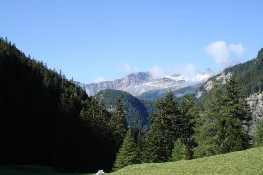 Maiensäss 5.5 Zi sonnig und rustikal - foto 19