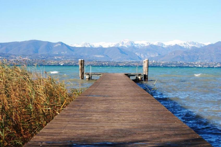 Jolly - foto 26