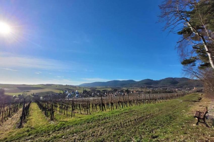 Maison de vacances - SCHLEITHAL - foto 37