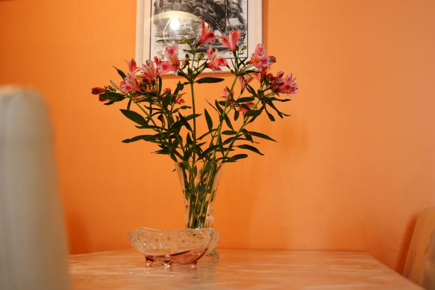 "Mladinic A1" mit Terrasse - foto 20