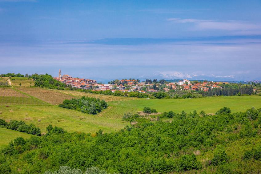 Villa Morgan - foto 7