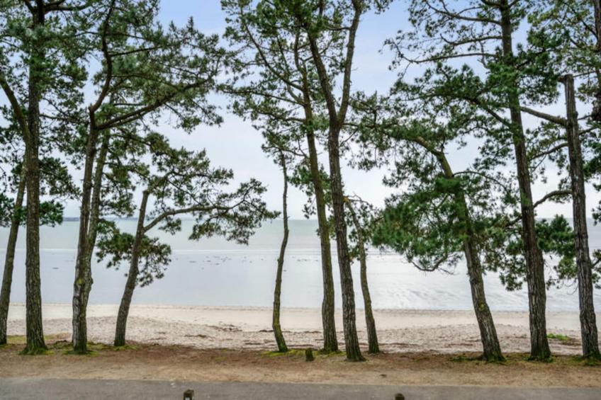 Résidence Cap Azur - maeva Home - foto 15