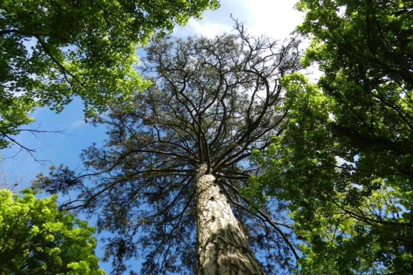 Maison de vacances - DIGES - foto 24