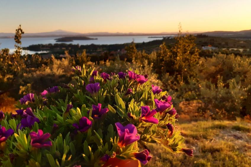 Renovierte Wohnung - foto 27