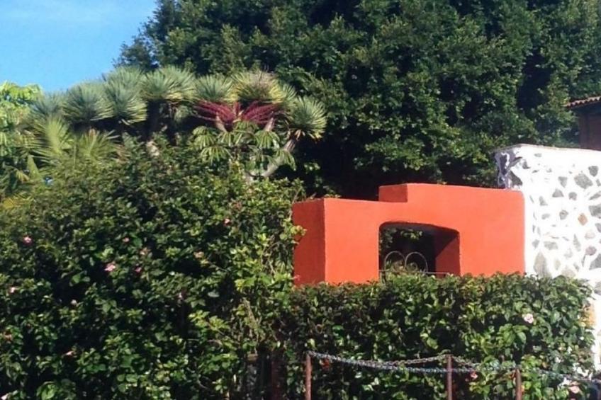 Finca Los Vinedos - foto 34