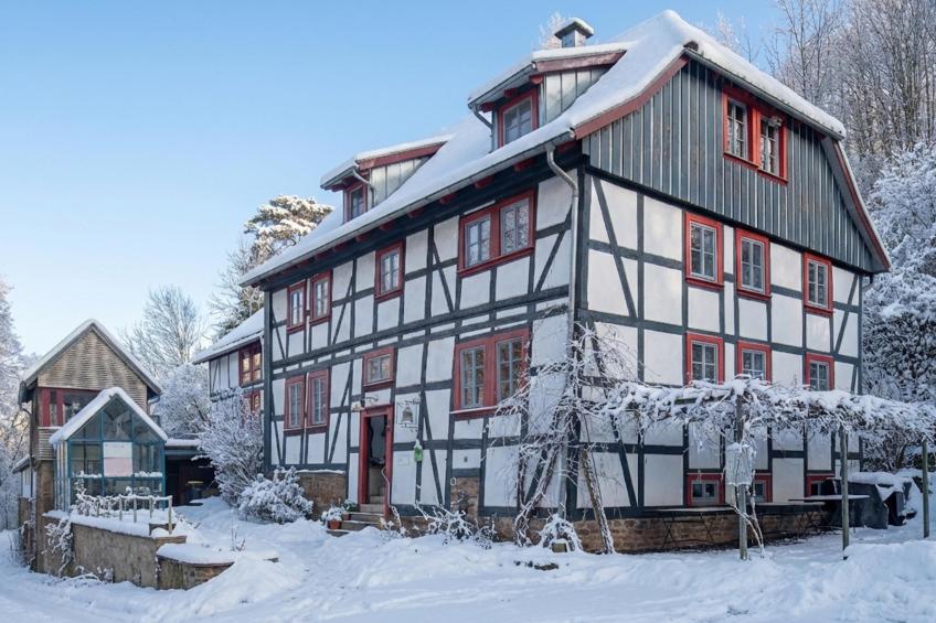 Kaffeemühle Hamma II