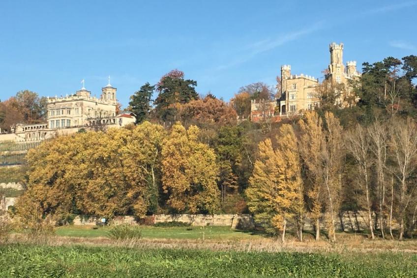 Dittrich in Pirna - foto 23