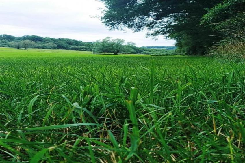 Résidence Durbuy 19 - foto 28