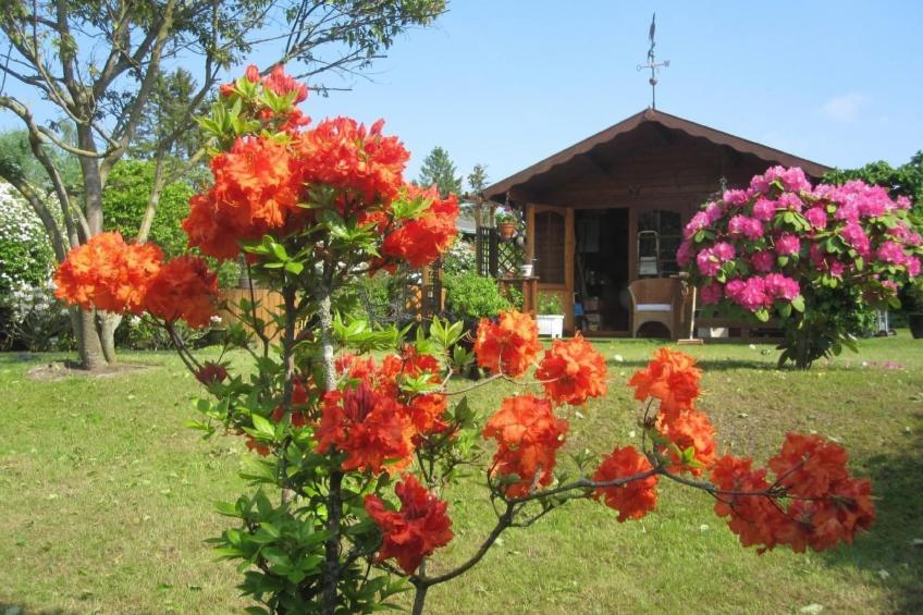 Landhaus am See - foto 36