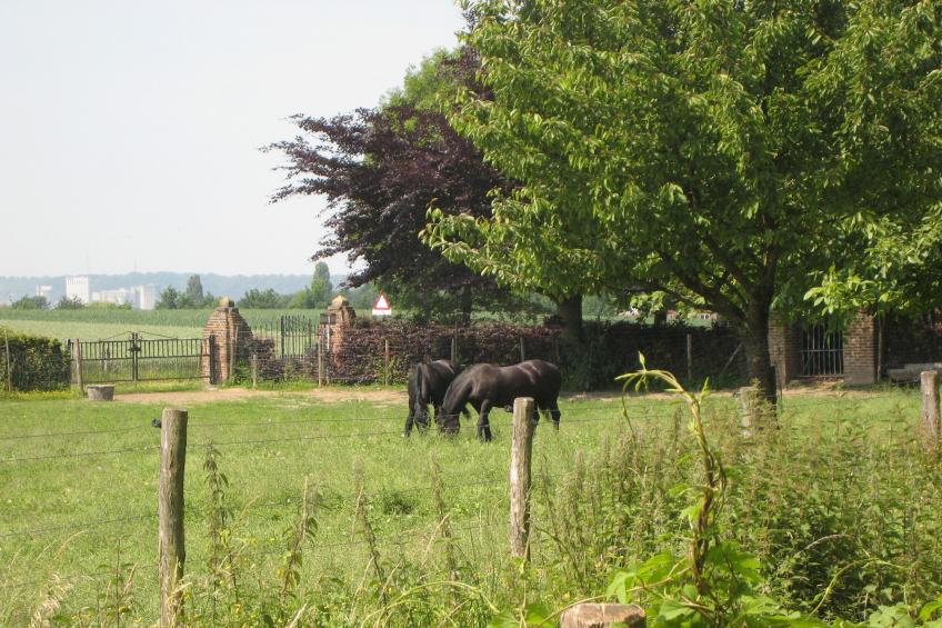 Meschermolen 11 - foto 24