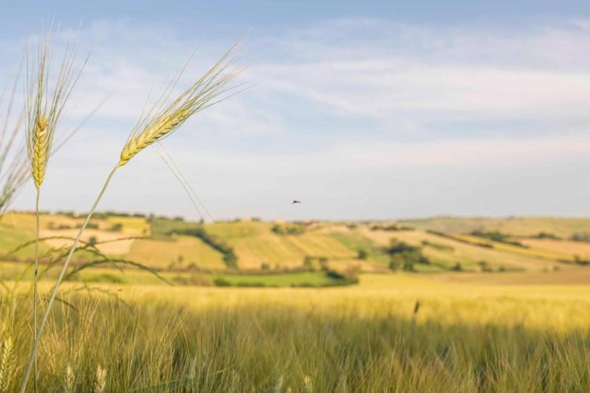 La Cantinaia Botte - foto 21
