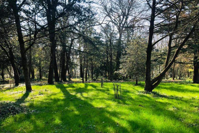 Villa Ravel - foto 34