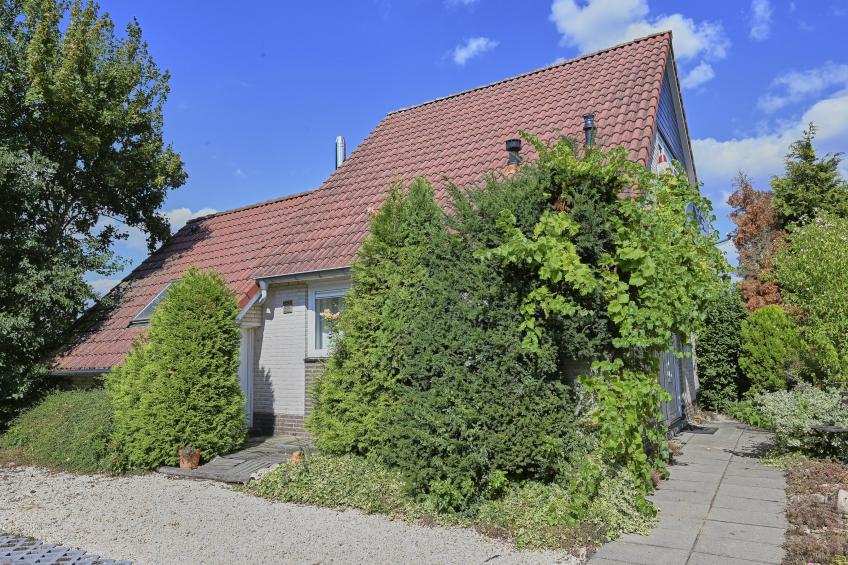 Aan de oever - foto 34