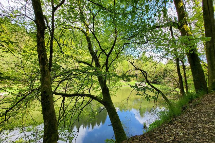 Buchenweg 13 - K - foto 35