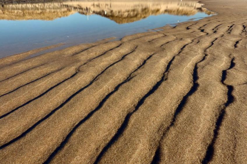 Rekerlanden 174 - foto 3