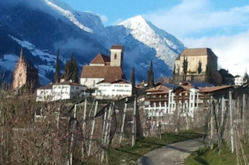 Appartement in Schenna mit Botanischem Garten - foto 19