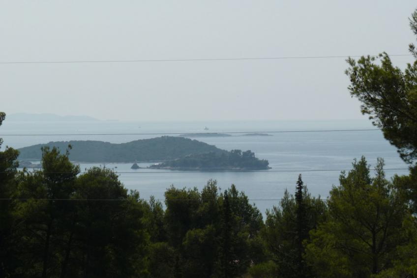 Michele-Mandarin - foto 6