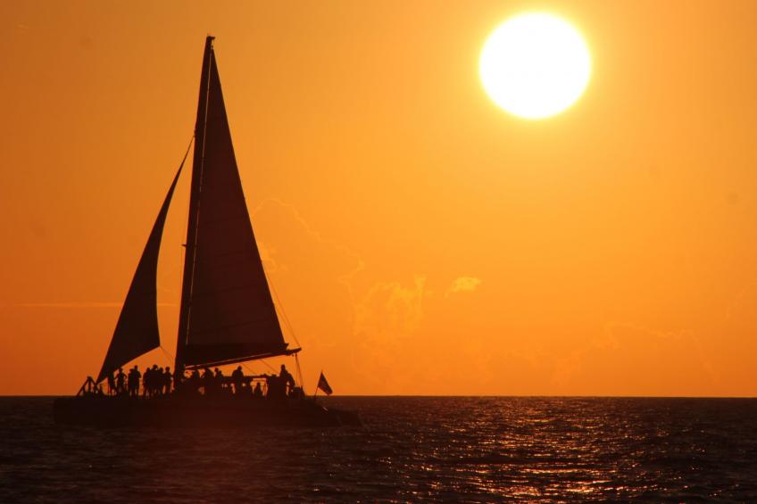 mit großzügigem Swimmingpool - foto 28