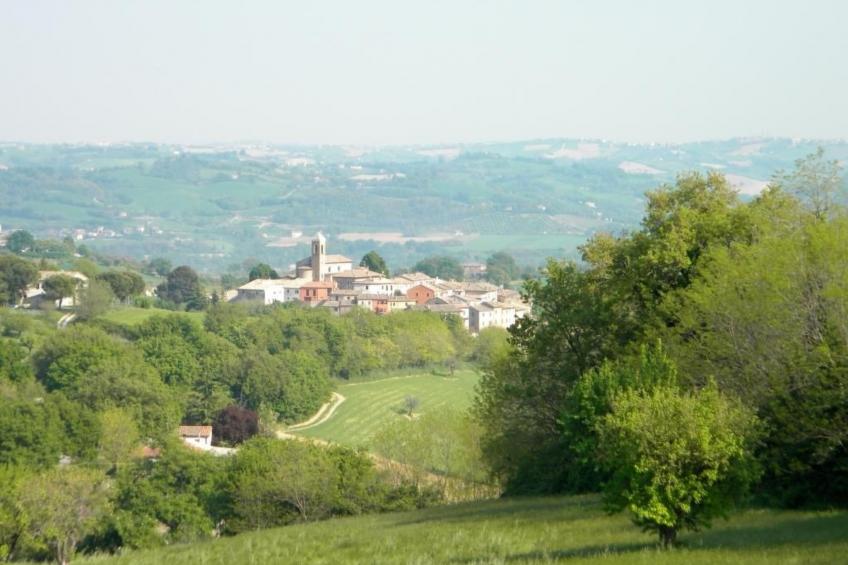 in der Gegend zwischen Meer und Berghang - foto 44