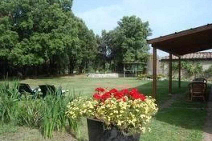 Agriturismo San Ansanino - foto 5