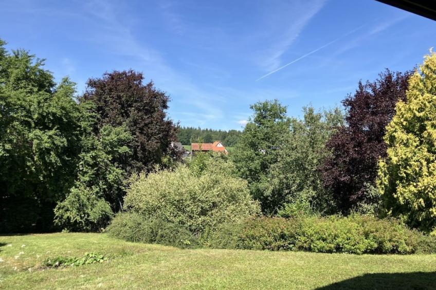 635513 - foto 2