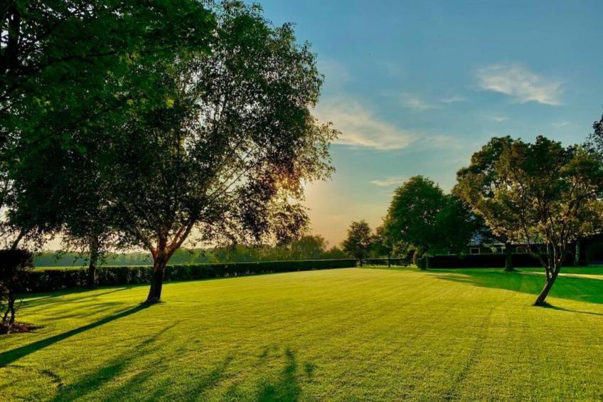 Recreatiepark Tolplas - foto 35