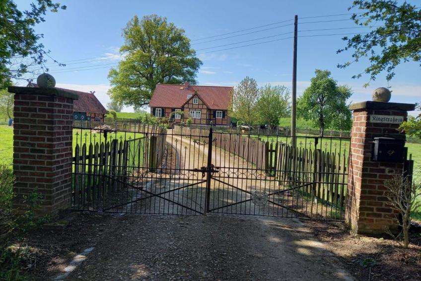 Haus Elbrose inmitten von Rosen mit Elbdeichzugang - foto 27