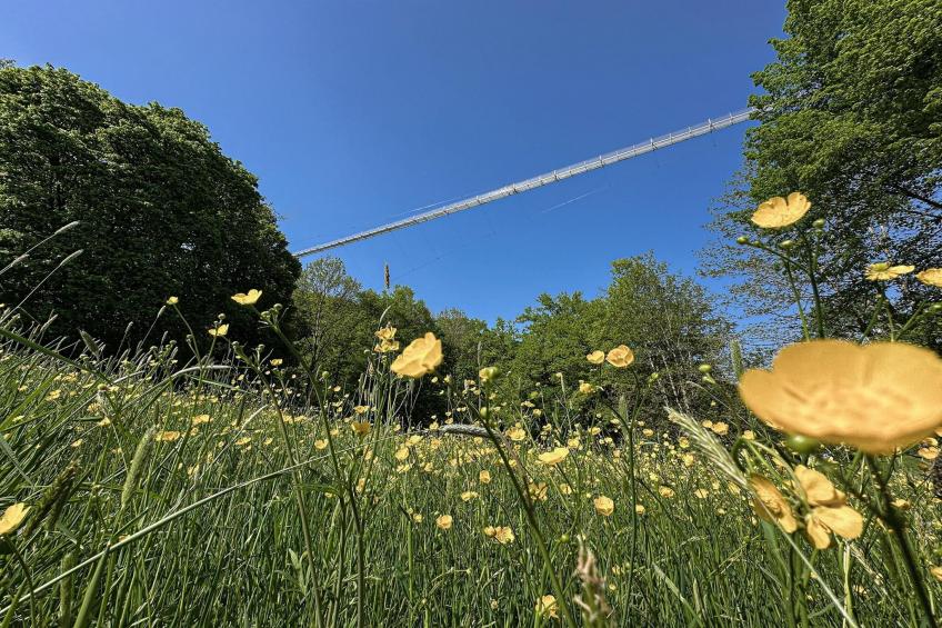 Ronshausen - foto 32