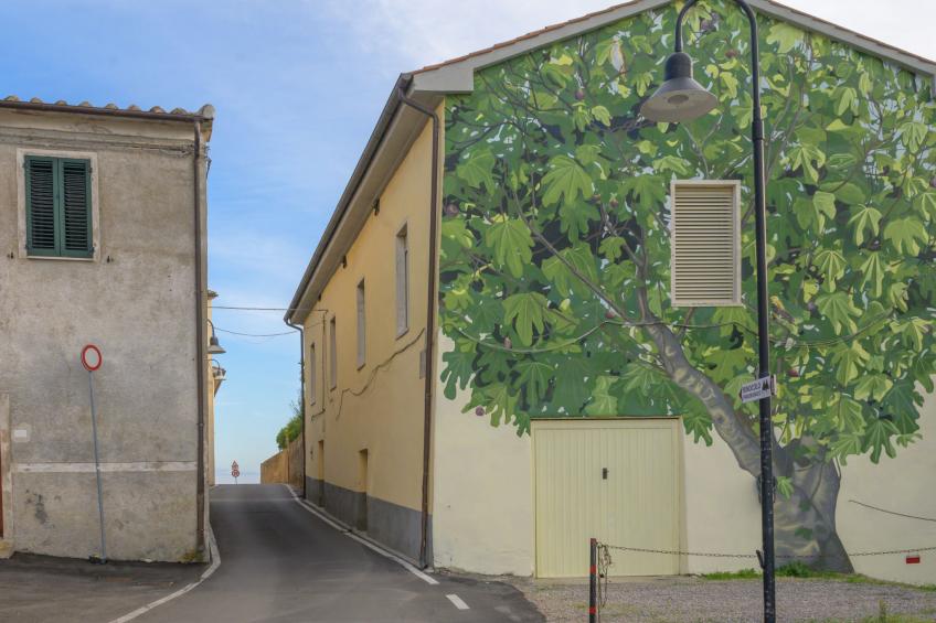 Il Belvedere di Montiano - foto 55